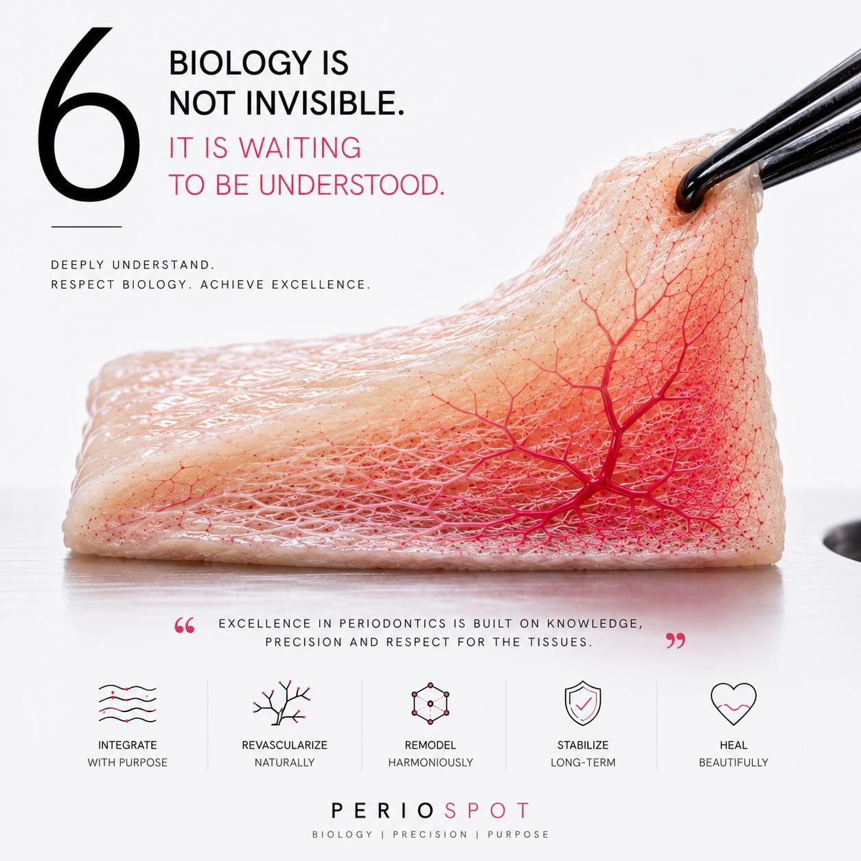 Histologic storytelling concept: visualizing the invisible biology behind connective tissue graft surgery for better dental education