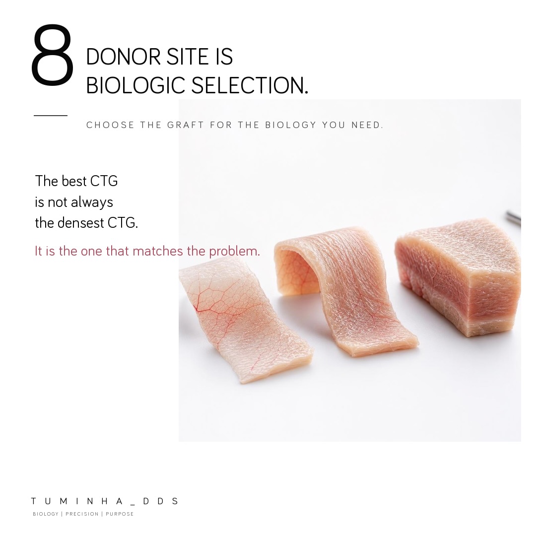 Three connective tissue grafts of different density and architecture, with the caption that the best CTG is not always the densest one, it is the one that matches the problem.