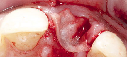 _dsc0009-crop-u32796