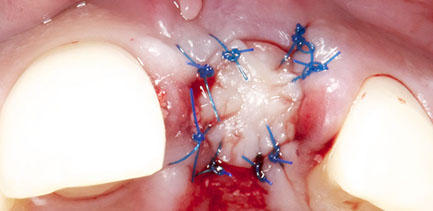 _dsc0010-crop-u32801