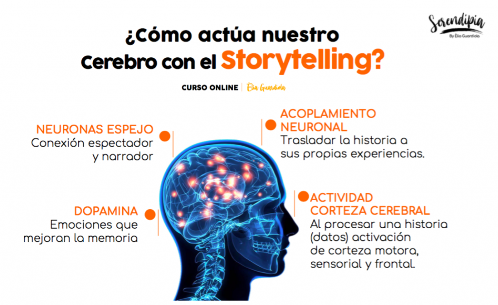 Storytelling y Cerebro. Elia Guardiola